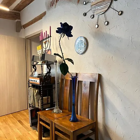 Apartamento Sephora Acces Terrasse Commune La Neuveville